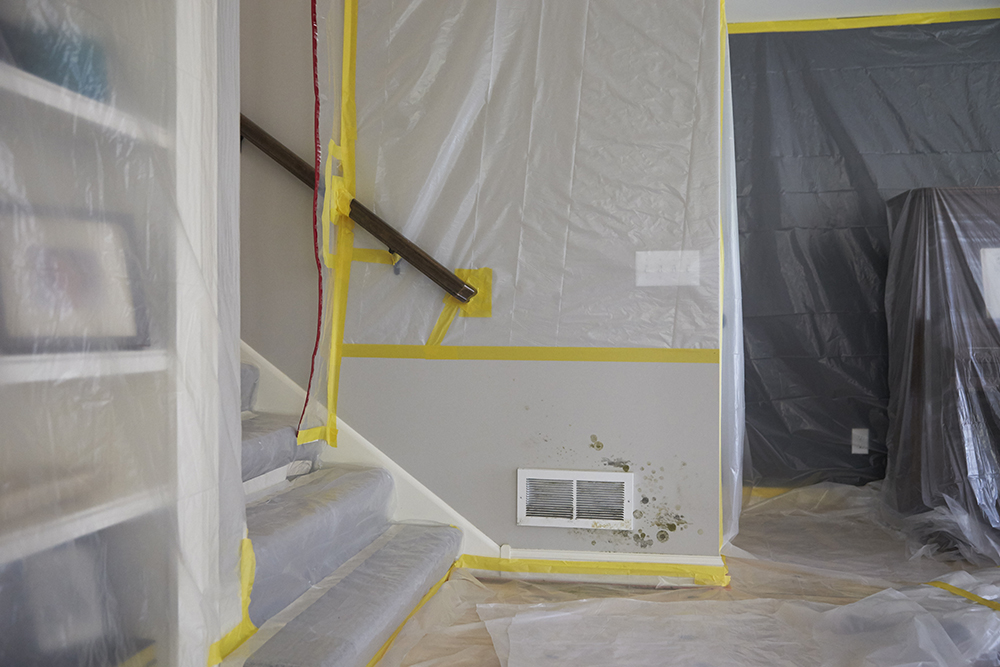 MOULD REMEDIATION