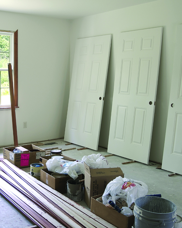 BLACK MOULD REMOVAL IN YOUR HOME